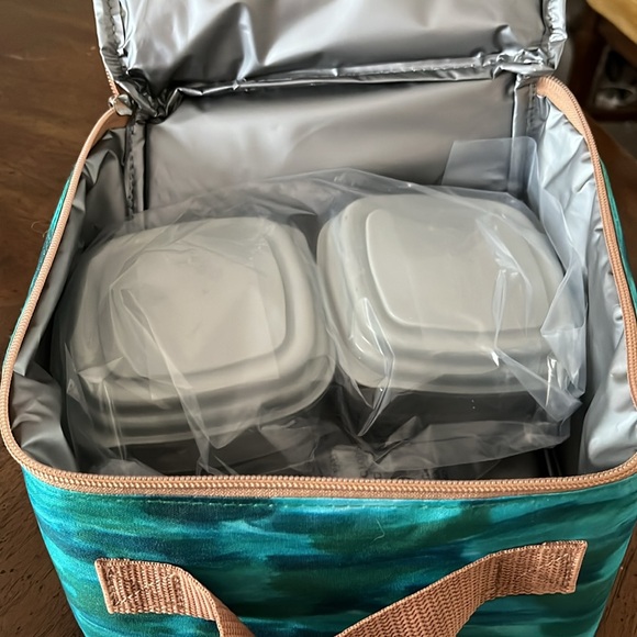 Fit Fresh Bouffants and Broken Hearts Kendra Dandy Insulated Lunch Tote NWT - Picture 6 of 6